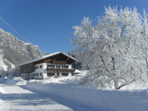 Ascherbauer, Waidring, Österreich